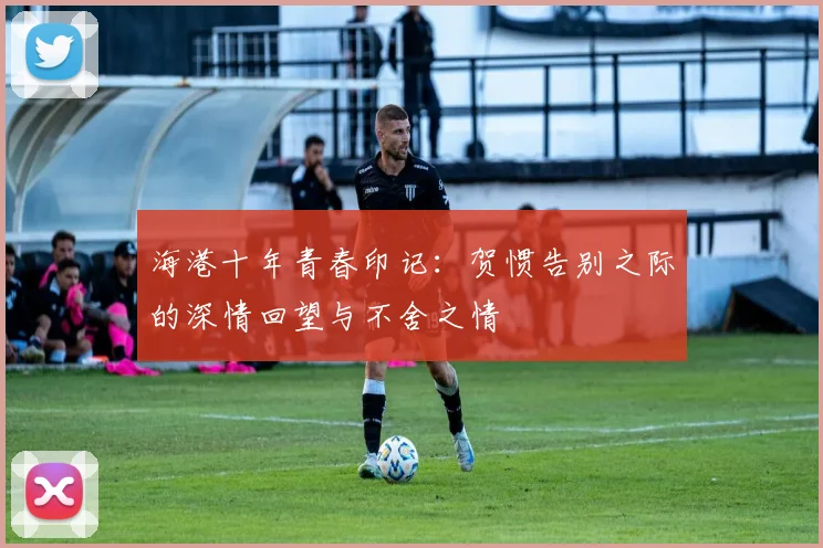 海港十年青春印记：贺惯告别之际的深情回望与不舍之情