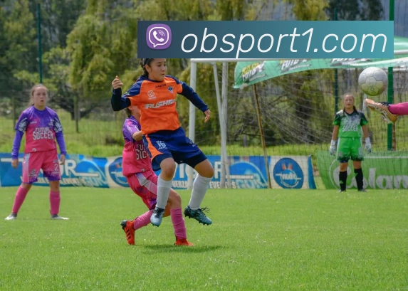 OB体育APP 封面图